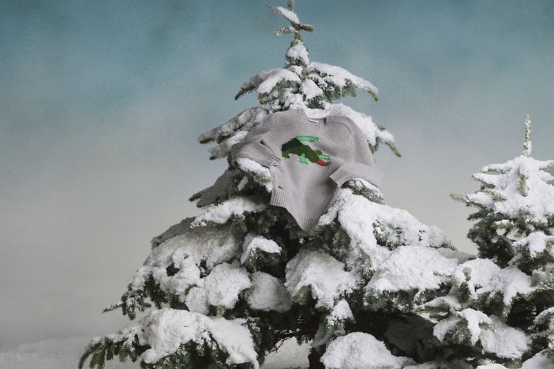 Lacoste Holidays 24