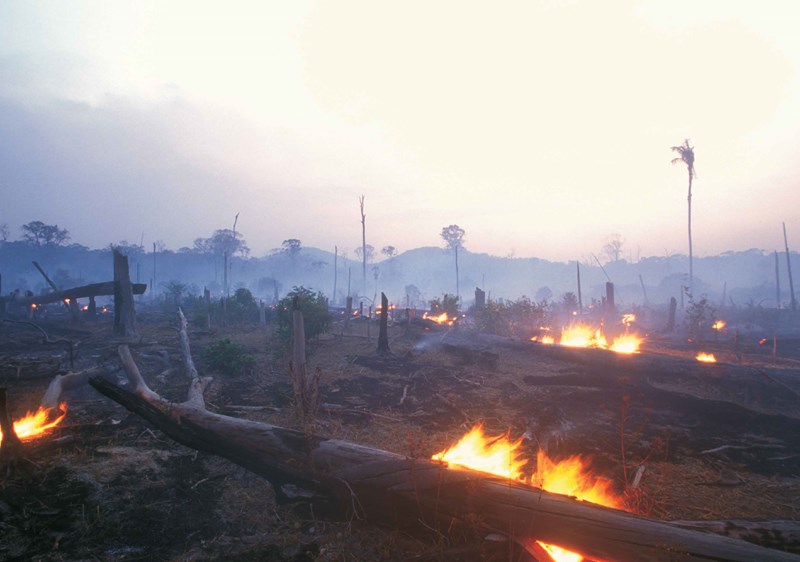 Αμαζόνιος φωτιές