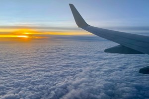 Με ένα τατουάζ ταξιδεύεις δωρεάν στην Αυστρία για ένα χρόνο - εικόνα 1