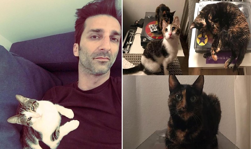 ΠΑΓΚΟΣΜΙΑ ΗΜΕΡΑ ΑΔΕΣΠΟΤΩΝ ΖΩΩΝ