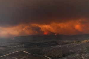 Οι σπάνιοι μαυρόγυπες αναζητούν το σπίτι τους στα καμμένα του Έβρου - εικόνα 1