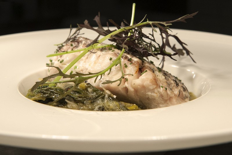 ΜΙΣΙΦΟΥ ΨΥΧΙΚΟ 2