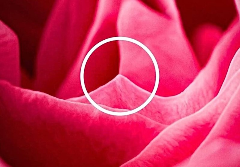 Η διαφημιστική καμπάνια της Mercedes που έγινε viral