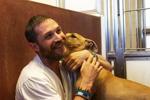 Πώς θα βοηθήσεις το κατοικίδιό σου να ζήσει ως τα βαθιά γεράματα - εικόνα 1