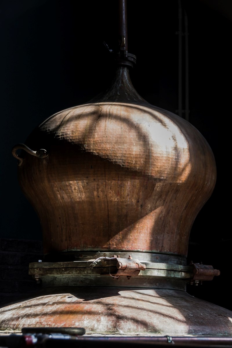 ΠΟΤΟΠΟΙΙΑ ΚΑΛΛΙΚΟΥΝΗΣ 9