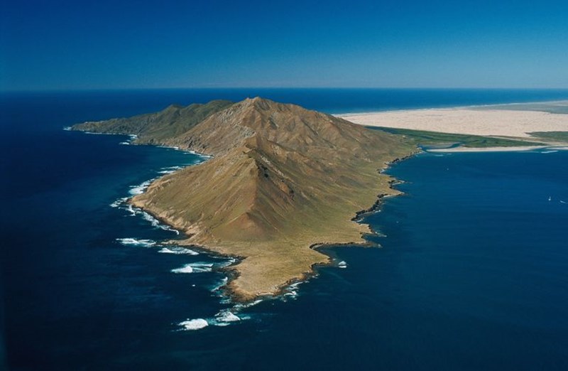 ΜΠΑΧΑ ΚΑΛΙΦΟΡΝΙΑ