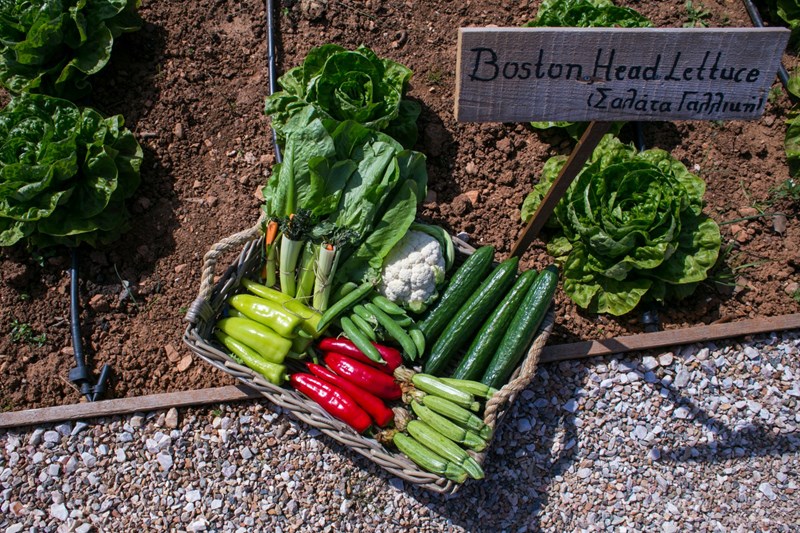 ΦΑΡΜΕΣ ΕΣΤΙΑΤΟΡΙΑ