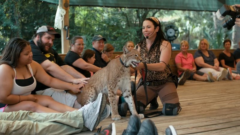 TIGER KING ΣΕΖΟΝ 2 5