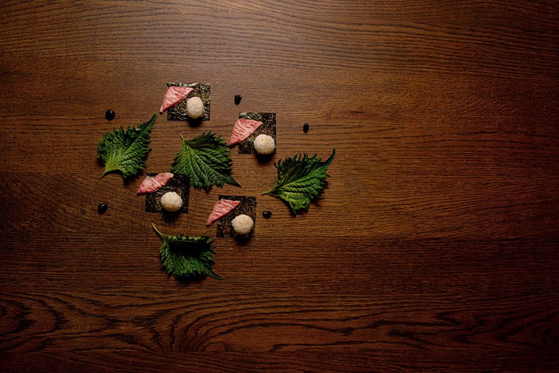 ΚΑΤΡΙΒΕΣΗΣ ΔΡΑΚΟΥΛΗΣ 2