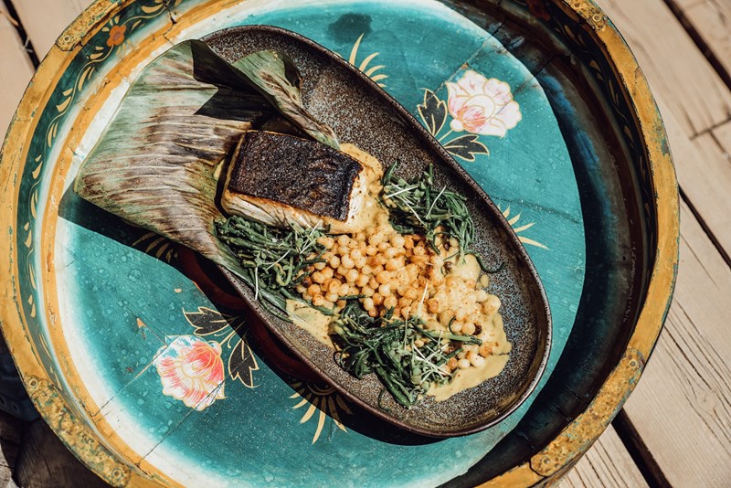 ΕΣΤΙΑΤΟΡΙΟ COYOACAN PLAYA ΒΑΡΚΙΖΑ 8