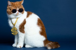 70 χρόνια Ρεκόρ Guinness-πώς ξεκίνησε ο θεσμός - εικόνα 1