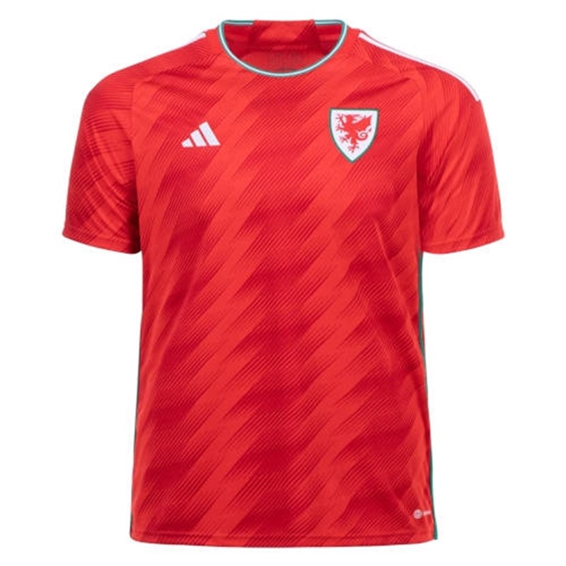WORLD CUP JERSEY