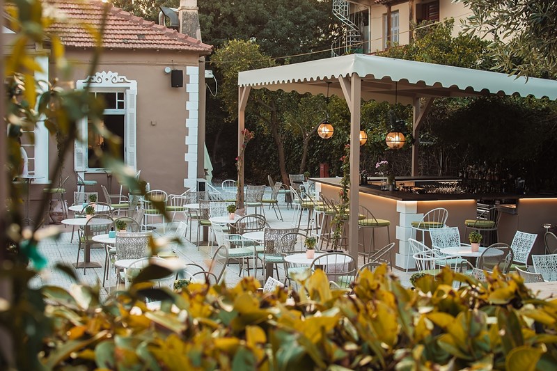 PANTESPANI ΠΕΥΚΗ 3