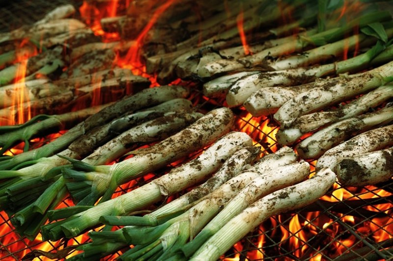 Κουζίνα Καταλονίας φρέσκα κρεμμυδάκια