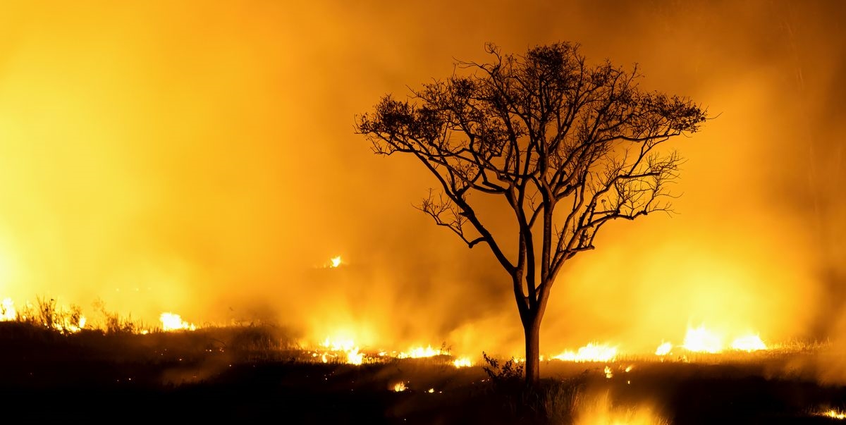 Η NASA θέλει να μετρήσει τον "πυρετό" της Γης - εικόνα 1