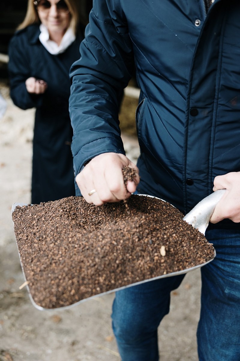 LA MEAT MAISON OLIVE WAGYU FARM 10