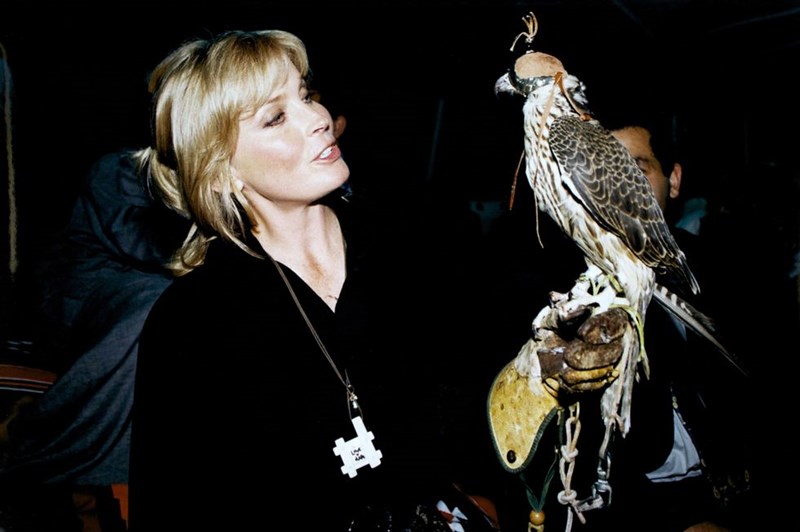 ONE OF THE BEST PHOTOS OF BO DEREK