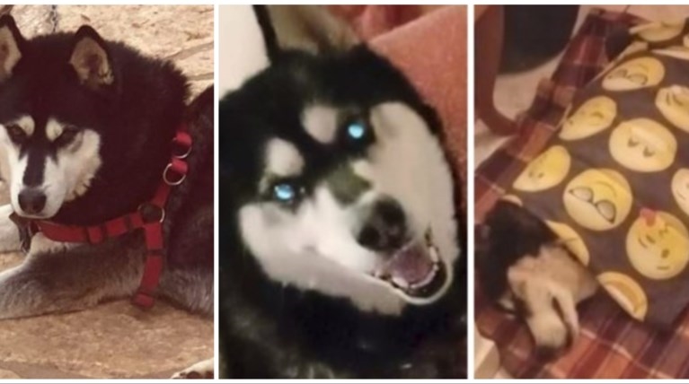 Μάρτυρας υπέδειξε το σημείο της άγριας κακοποίησης του Όλιβερ στην Αράχωβα - εικόνα 1