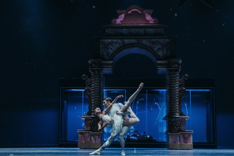 ΚΑΡΥΟΘΡΑΥΣΤΗΣ - ΕΛΣ