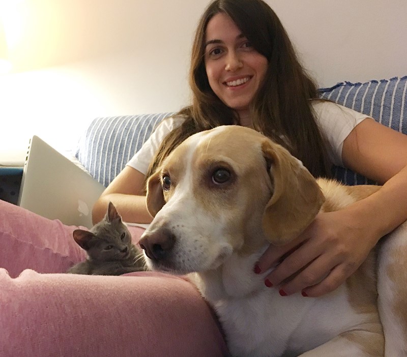 ΠΑΓΚΟΣΜΙΑ ΗΜΕΡΑ ΑΔΕΣΠΟΤΩΝ ΖΩΩΝ