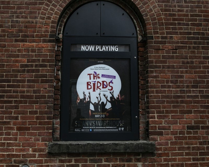 ΟΡΝΙΘΕΣ ΣΤΕΓΗ