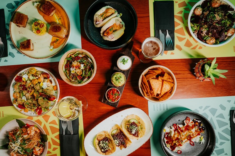 NEDRA ΧΑΛΑΝΔΡΙ 2