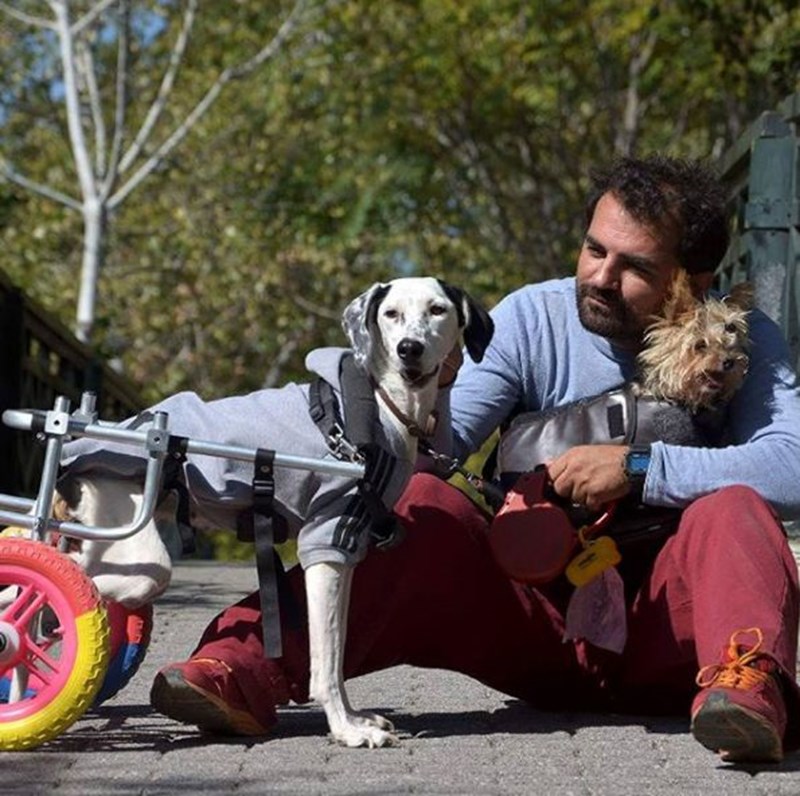 ΒΑΣΙΛΗ ΤΖΙΓΚΟΥΡΑΣ