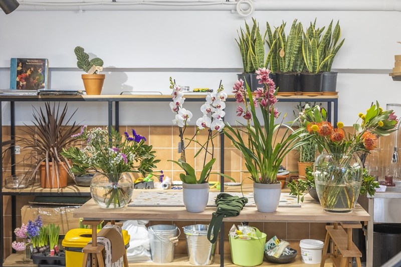 Ο Αλέξανδρος Γκικόπουλος στο Polyamorous 1