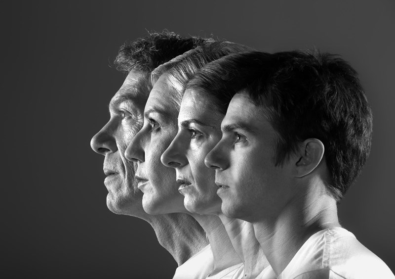 ΠΑΡΑΣΤΑΣΕΙΣ