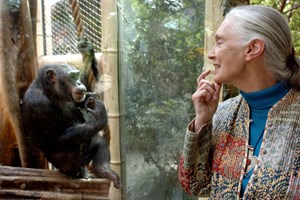 Πέθανε ο βραβευμένος R&B καλλιτέχνης, D'Angelo - εικόνα 1