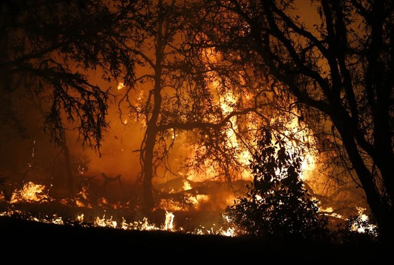 Καλιφόρνια 31