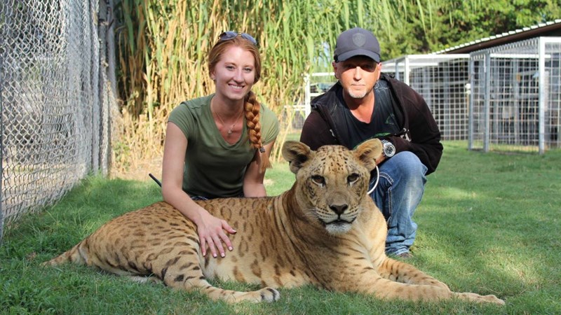 TIGER KING JEFF LOWE