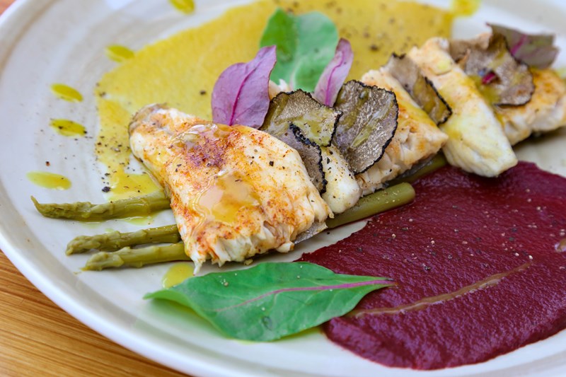 FRANKIE ΝΕΑ ΕΡΥΘΡΑΙΑ 5