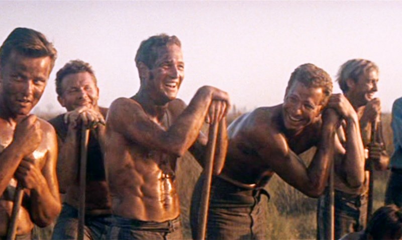 Paul Newman six pack