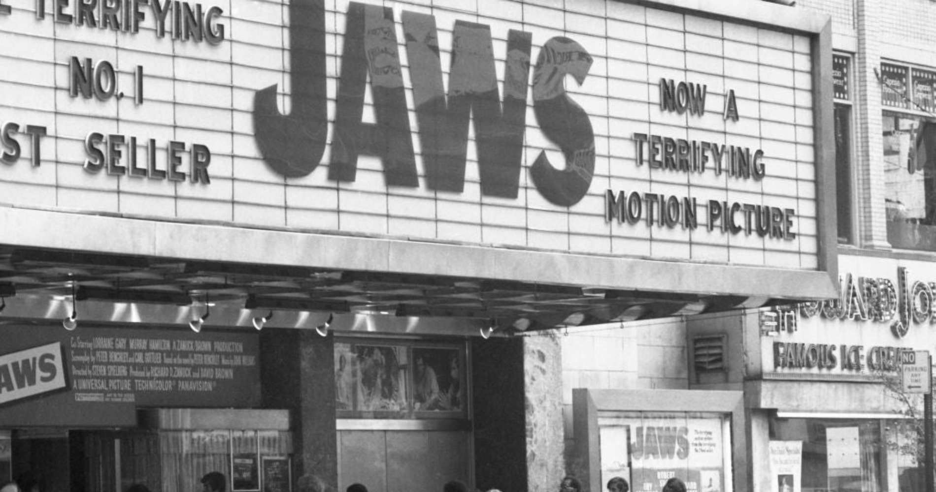 Σε άλλα νέα, καρχαρίας βόλταρε κοντά στο λιμάνι της Ζακύνθου - εικόνα 1