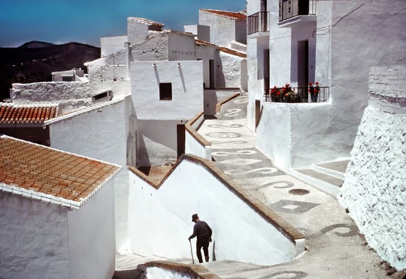 ΦΡΙΤΖΙΛΙΑΝΑ