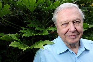 Μία πρωτότυπη λύση για την κλιματική αλλαγή - εικόνα 2