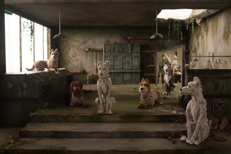 ΤΟ ΝΗΣΙ ΤΩΝ ΣΚΥΛΩΝ