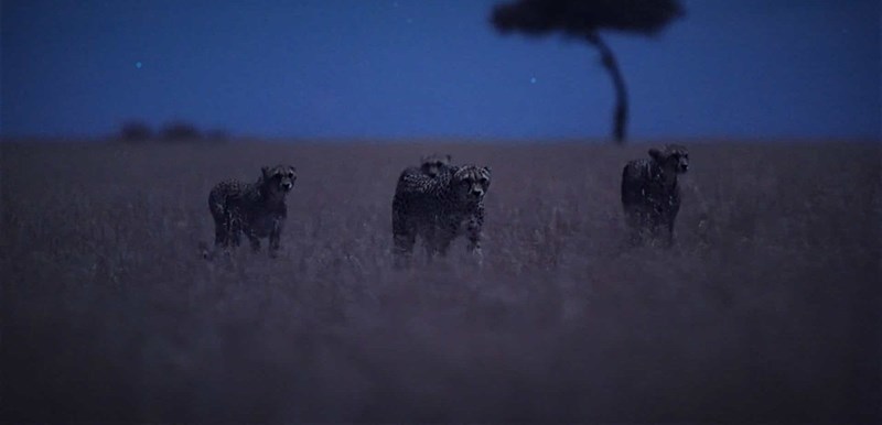 NETFLIX ΙΑΝΟΥΑΡΙΟΣ