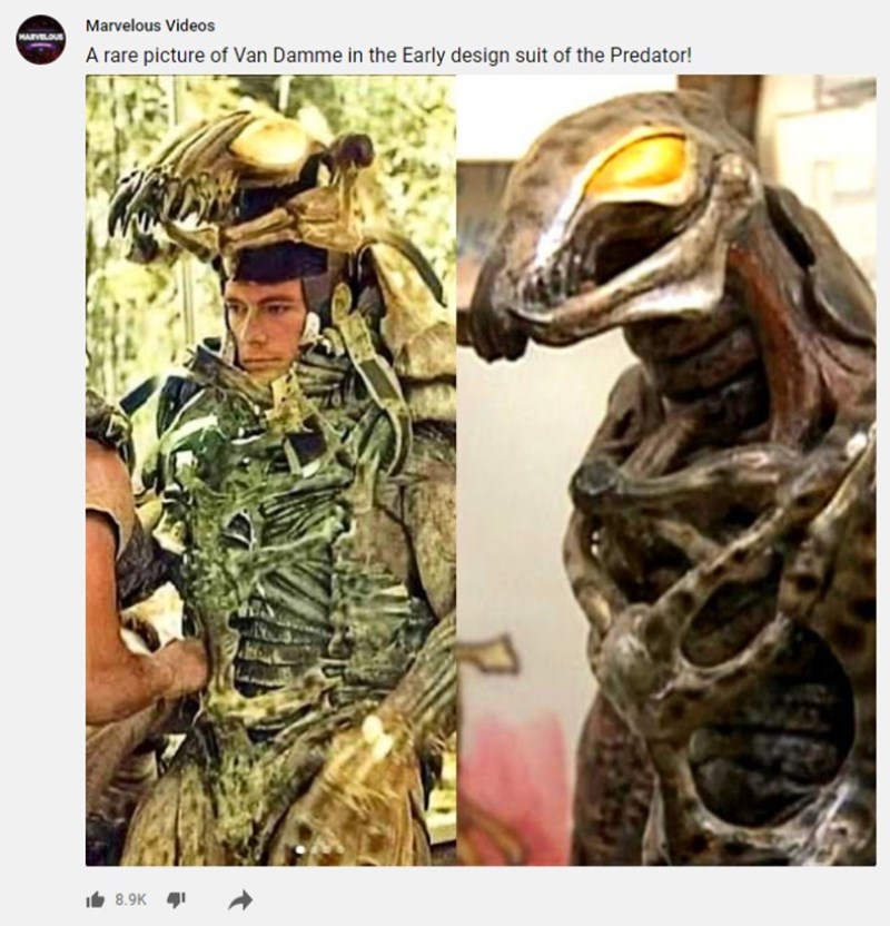 ΒΑΝ ΝΤΑΜ ΣΤΟΝ ΚΥΝΗΓΟ