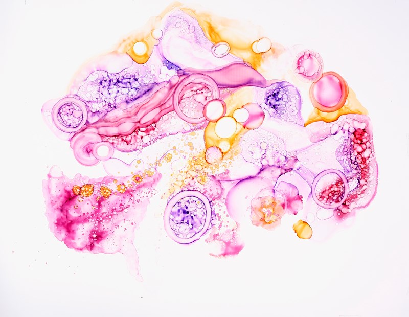 DKostopoulou-Under the microscope