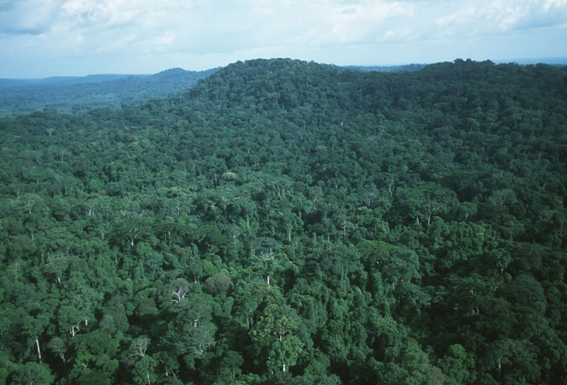 Η λεκάνη του ποταμού Κονγκό