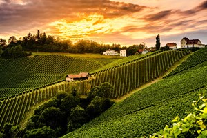 Πέθανε ο Γιάννης Μπουτάρης - εικόνα 2