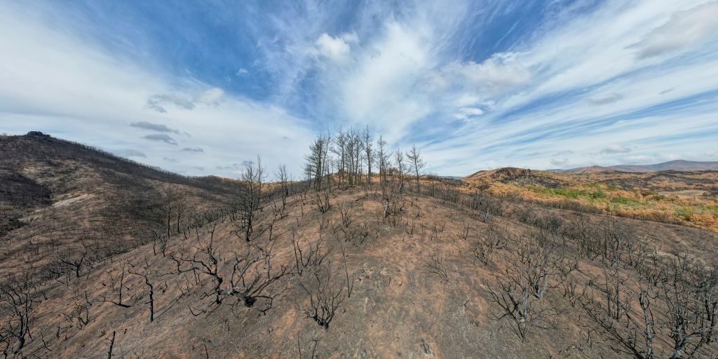 Ένα ακόμη αρνητικό ρεκόρ που έσπασε το 2023 - εικόνα 1