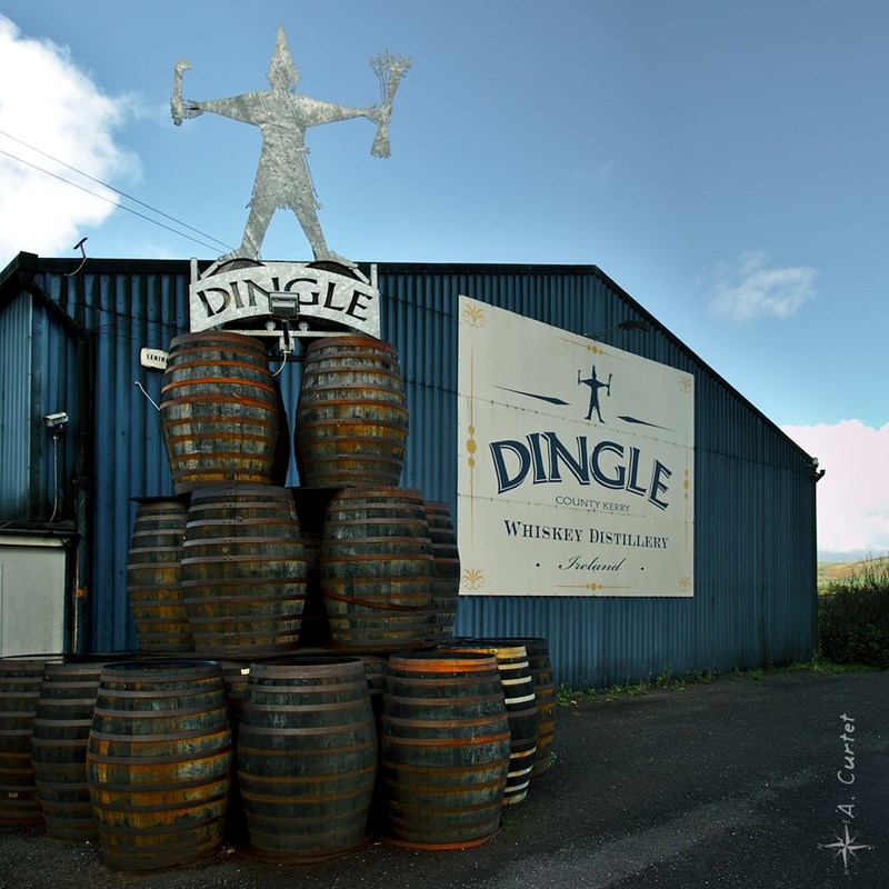 ΙΡΛΑΝΔΙΚΟ ΟΥΙΣΚΙ DINGLE 1