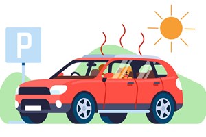 8 τρόποι που δεν είχαμε σκεφτεί για να μην καίμε τόσο ρεύμα μέσα στη ζέστη - εικόνα 1