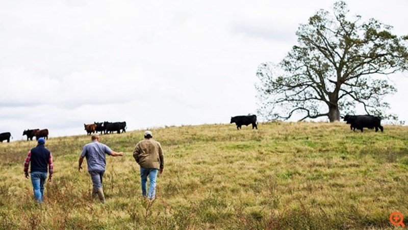 start ups κορονοϊος