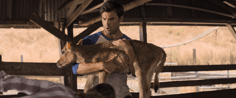 A CALIFORNIA CHRISTMAS