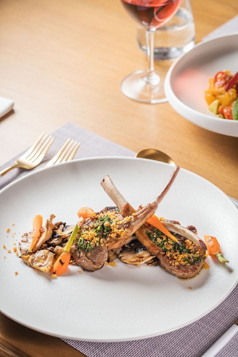 SAILINN ΛΕΥΚΑΔΑ 1