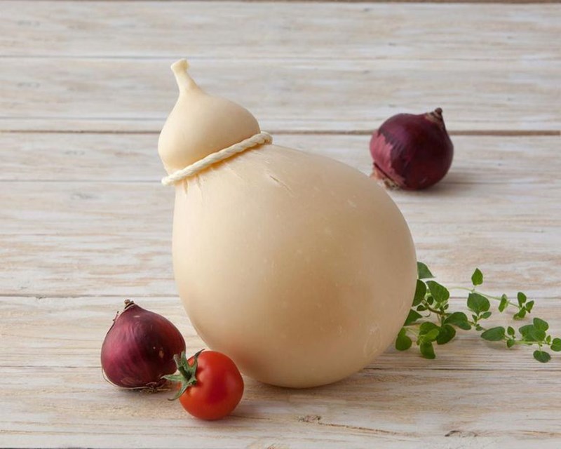 ΚΑΤΣΙΟΚΑΒΑΛΟ